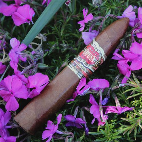 Blackbird Cigar Co. - Dominican Republic