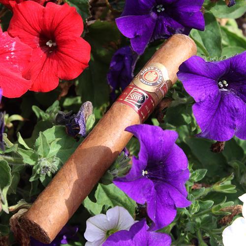 Ramon Allones Cigars