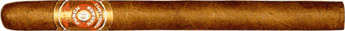 Punch Margaritas Cigar - 1 Single