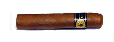 Santa Damiana Robusto Cigar - 1 Single